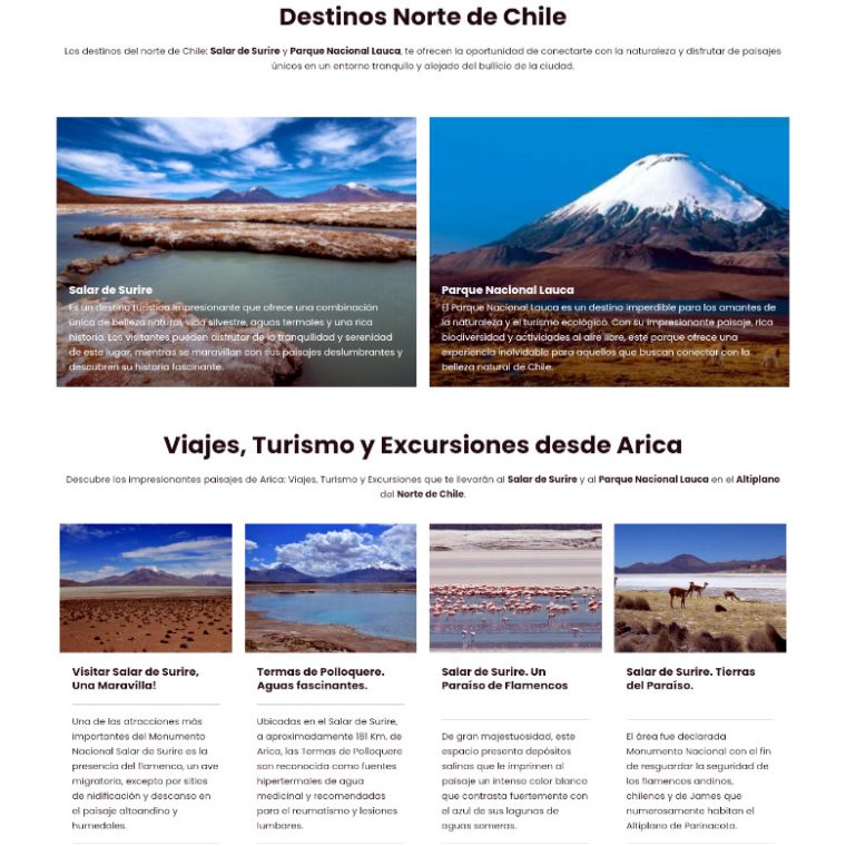 Tours Salar de Surire - Putre, Arica y Parinacota, Chile | Ultrawagner Diseño web